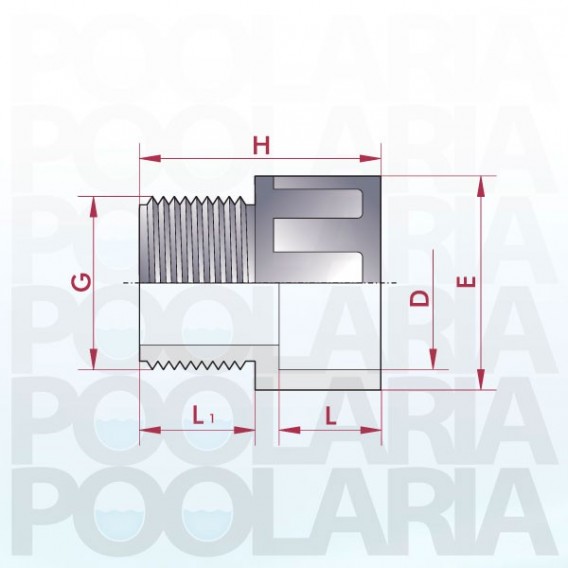 Terminal PVC para encolar y roscar macho