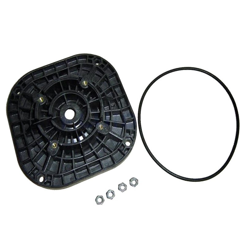Brida motor bomba Sena AstralPool 4405010418 |