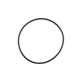 Junta tapa prefiltro bomba Fiji 4405010001