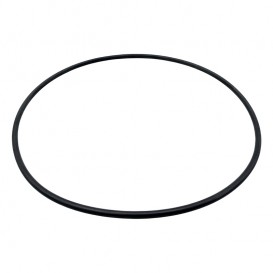Junta cuerpo bomba ESPA Silen I Iris NOX 33/50/100 0000198624