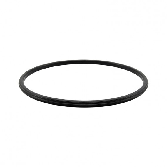 Junta prefiltro bomba ESPA Silen antigua 0000000388