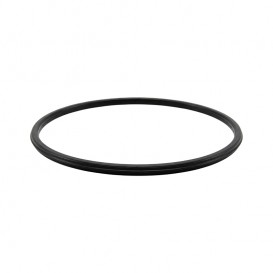 Junta prefiltro bomba ESPA Silen antigua 0000000388