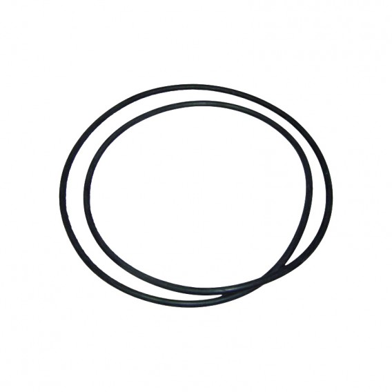 Junta tórica filtro diatomeas Clarity AstralPool 4404210111