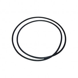 Junta tórica filtro diatomeas Clarity AstralPool 4404210111