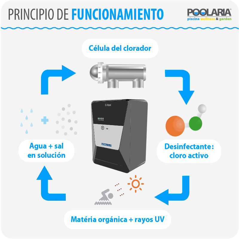 Funcionamiento de un clorador salino