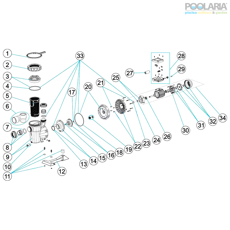 Recambios bomba Victoria Plus AstralPool