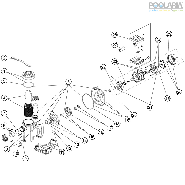 Recambios bomba Sena AstralPool