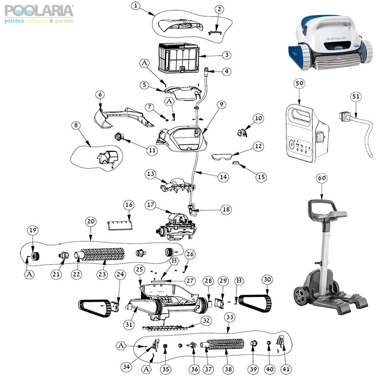 Recambios Dolphin Blue Maxi 40i